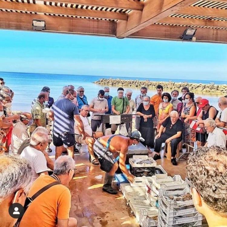 La Terrazza Sul Mar Mediterraneo Marinella di Selinunte Zewnętrze zdjęcie